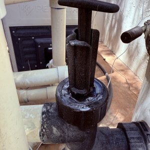 IMG_3220.jpeg