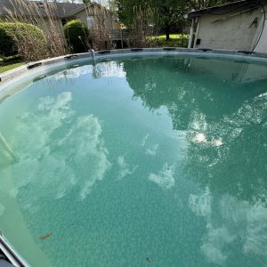 IMG_8829.jpeg