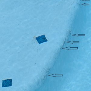 aipermarks2.jpg
