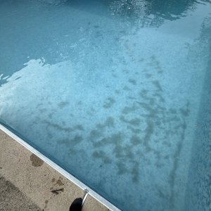 IMG_7919.jpeg