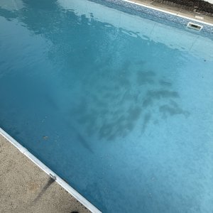 IMG_7920.jpeg