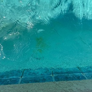 IMG_3623.jpg