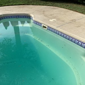IMG_1305.jpeg