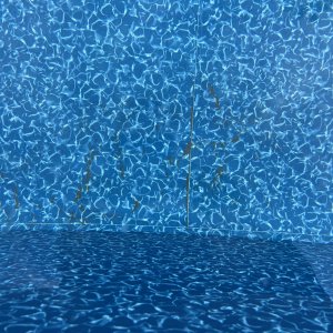 IMG_7393.jpeg