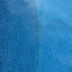 IMG_7395.jpeg