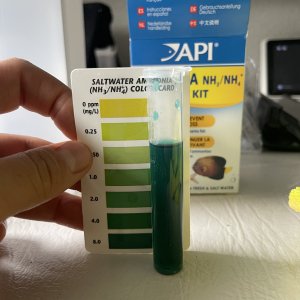 IMG_4350.jpeg