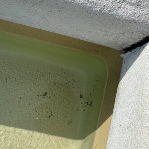 IMG_2539.jpeg