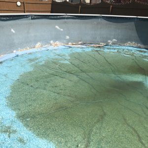 IMG_3761.jpeg