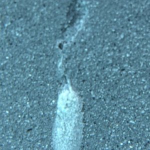 IMG_0687.jpeg