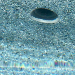 1747507777987.png