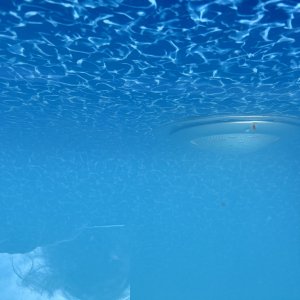 IMG_0300.jpeg