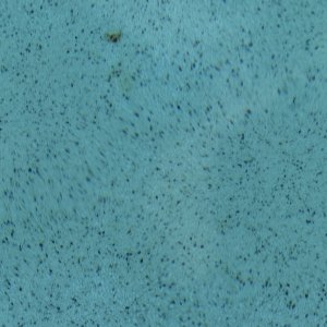 IMG_0582.jpeg