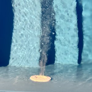 IMG_9173.jpeg
