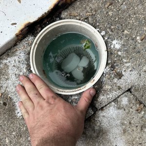 IMG_7524.jpeg
