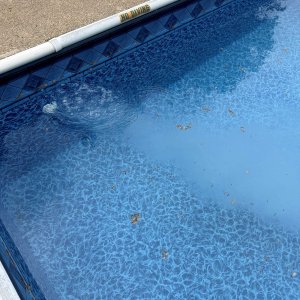 IMG_7384 reduced.JPG