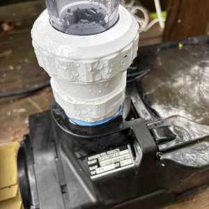 IMG_1928.jpeg
