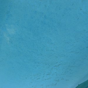 Pool III 002.JPG