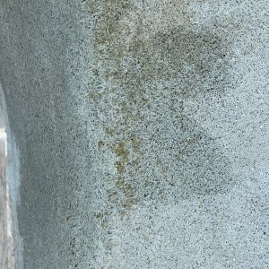 IMG_5103.jpeg