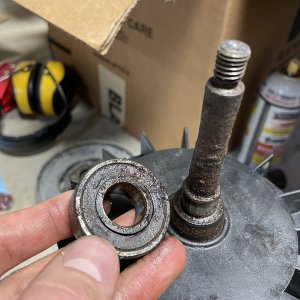 Removed bearing