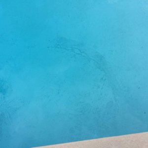 IMG_0088.jpg