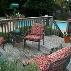 deck and pool.jpg