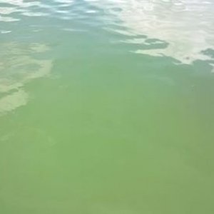 Pool#2.jpg