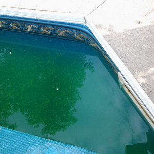 Green-pool.jpg