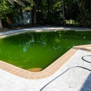 The Green Pool.jpg