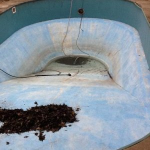 pool2.jpg