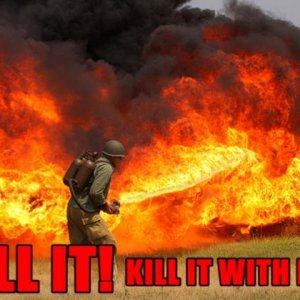 KILL-IT-WITH-FIRE-FUNNY-FORUM-PICS.jpg
