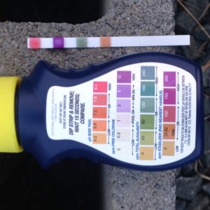 TestStrip.jpg
