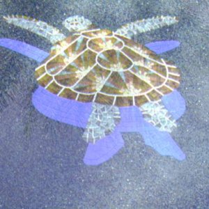 mosaic turtle.jpg