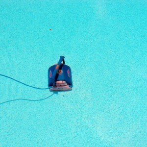 clear water.JPG