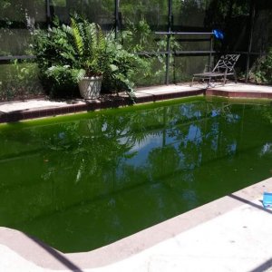 GreenPool_2016.jpg