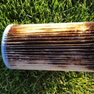 20160605_070614.jpg