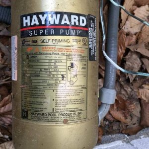 Hayward super pump.jpg