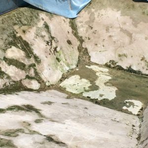 pool project.jpg