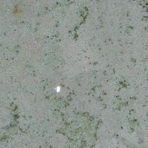 Pool algae.jpg