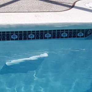 pool1.jpg