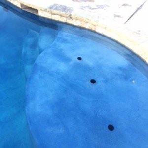 Pool pic 2.jpg