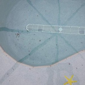 20170607_091952.jpg