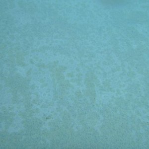 P1000631.jpg