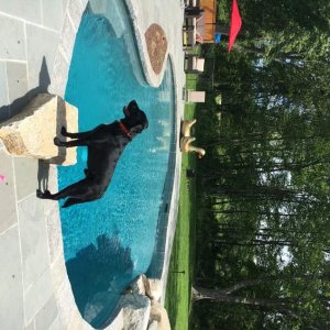 Pool.jpg