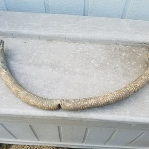 20170731_184329.jpg