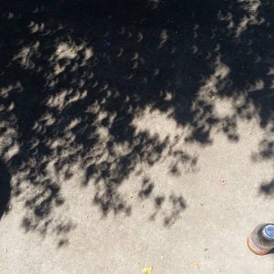 zach's eclipse shadows.jpg