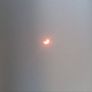 zach's eclipse.jpg