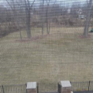 20180210_122533.jpg