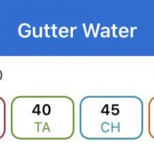 gutter water.jpg