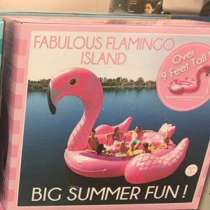2018 Flamongo.jpg