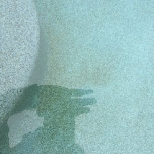 Pool Stain2.JPG
